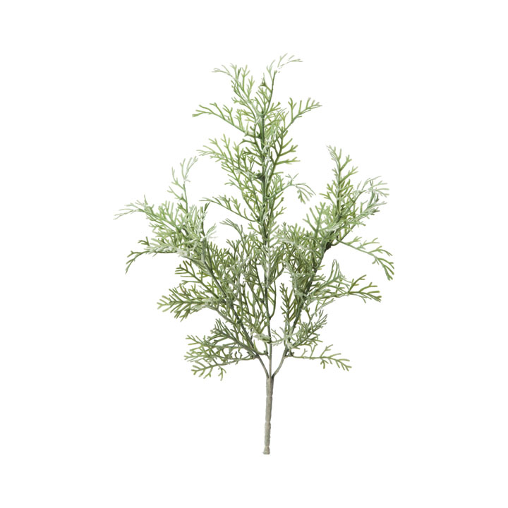 フロックファーンブッシュ