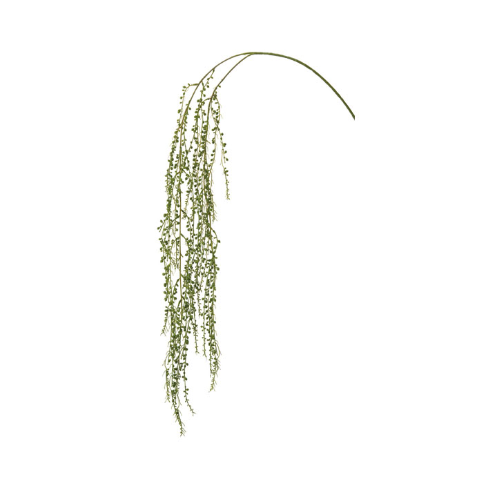 グリーンビーズバイン