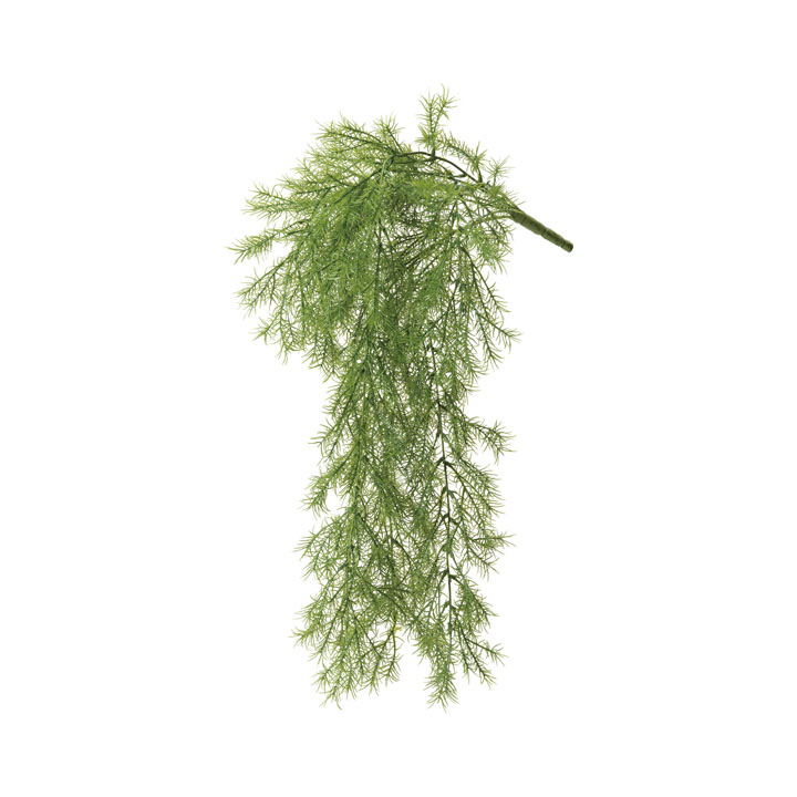 アスパラハンガー