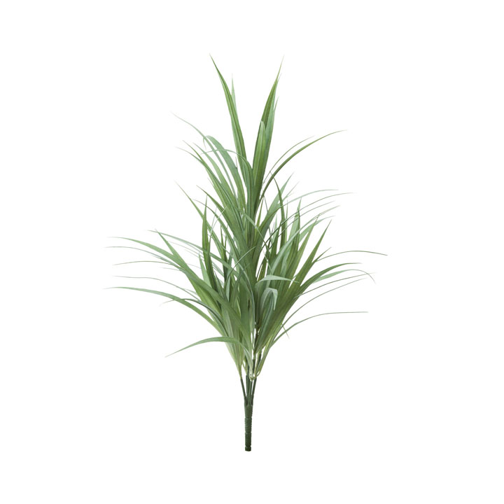 ユッカリーフブッシュ