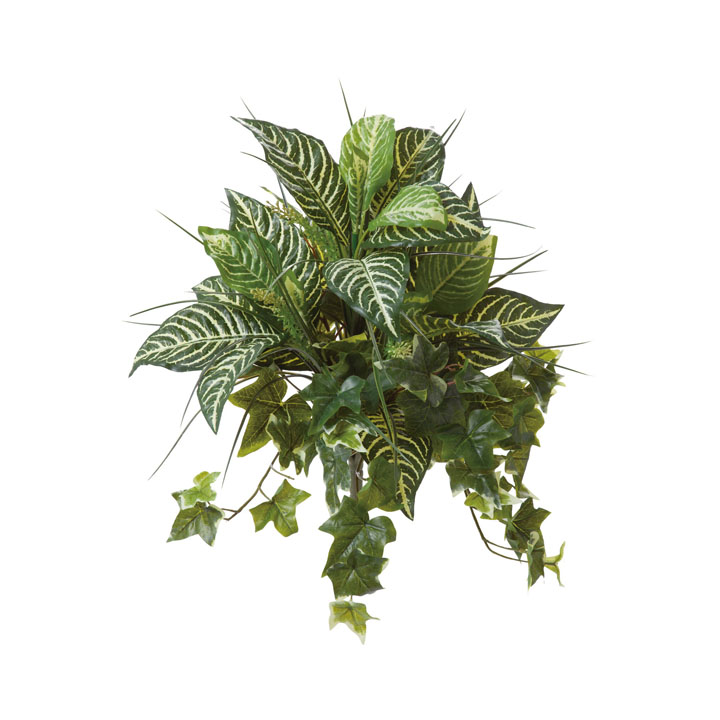 アイビーミックスブッシュ