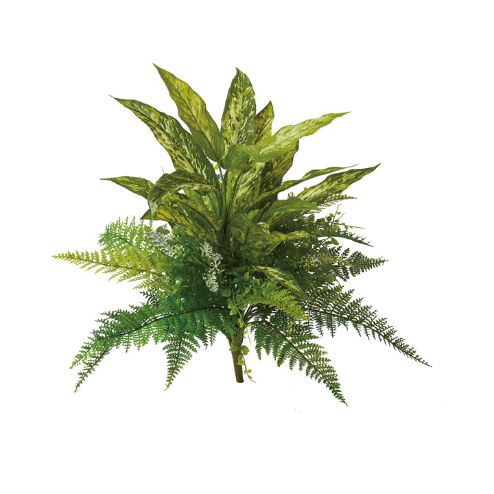 ディフェンバキアミックスブッシュ