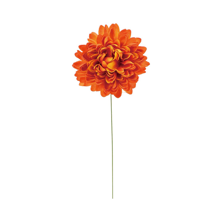 マムピックM20Pセット