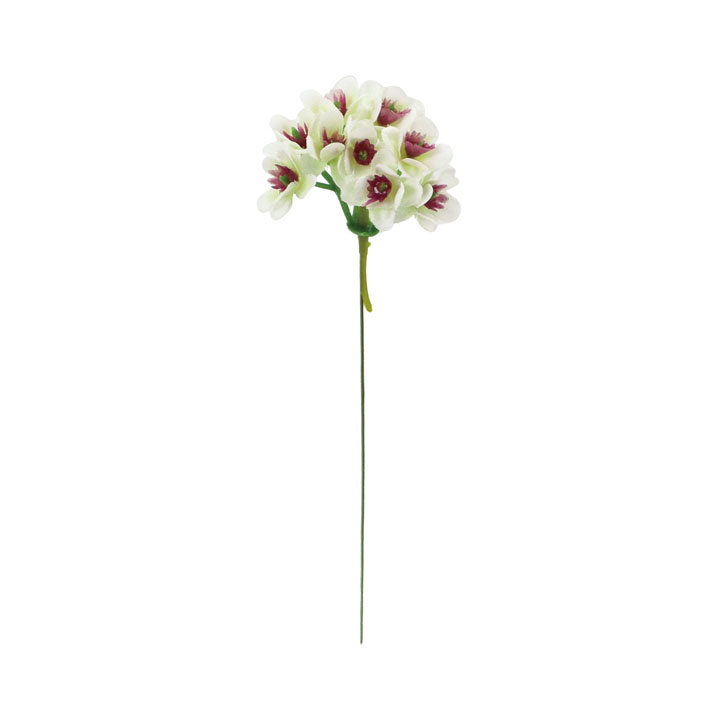 ビバーナムピック20Pセット