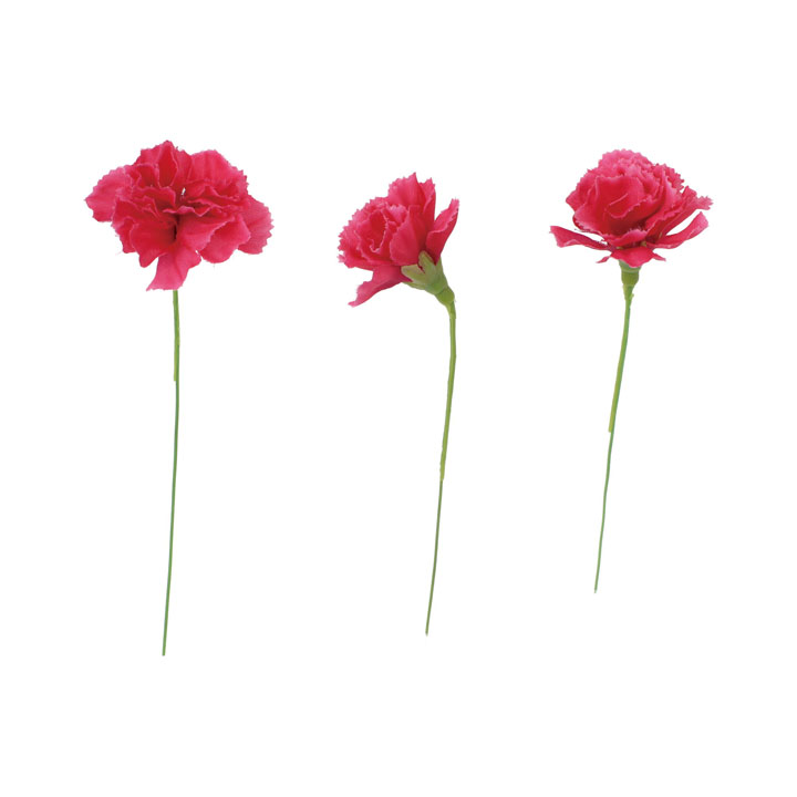 カーネーションピック20Pセット