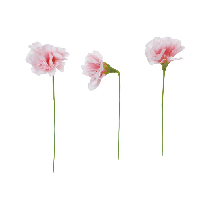 カーネーションピック20Pセット