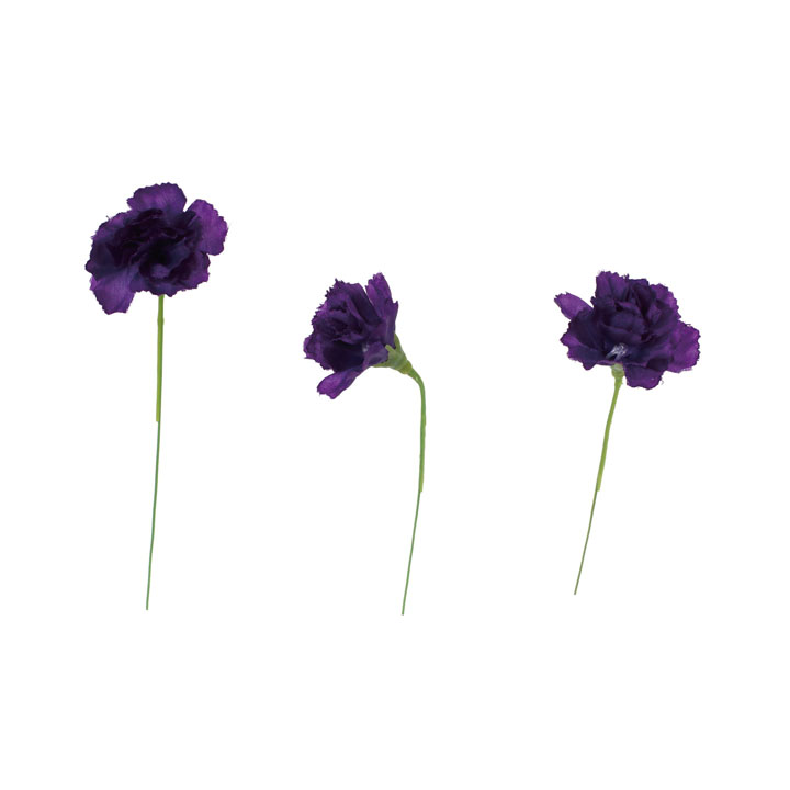 カーネーションピック20Pセット