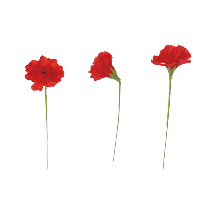 カーネーションピック20Pセット