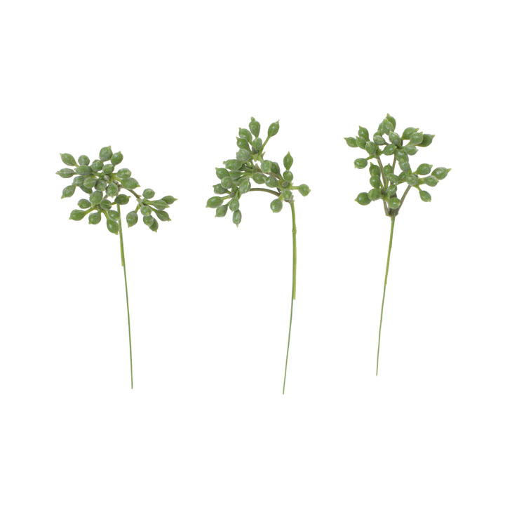 シキミアピック20Pセット