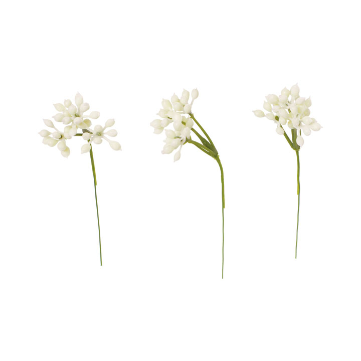 シキミアピック20Pセット