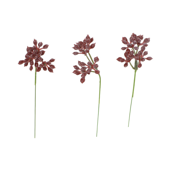 シキミアピック20Pセット