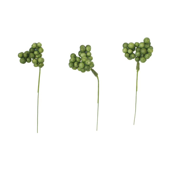 ベリーピック20Pセット