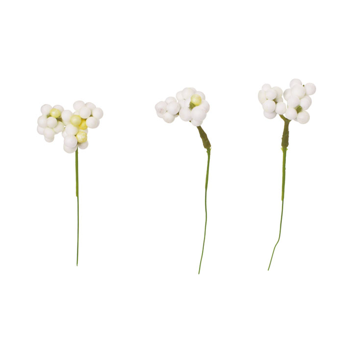 ベリーピック20Pセット