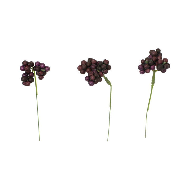 ベリーピック20Pセット