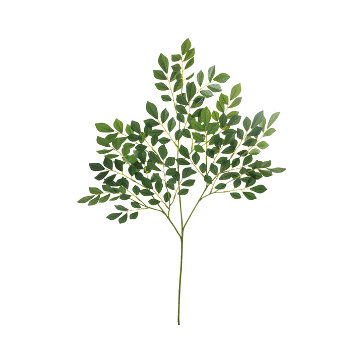 トネリコスプレー