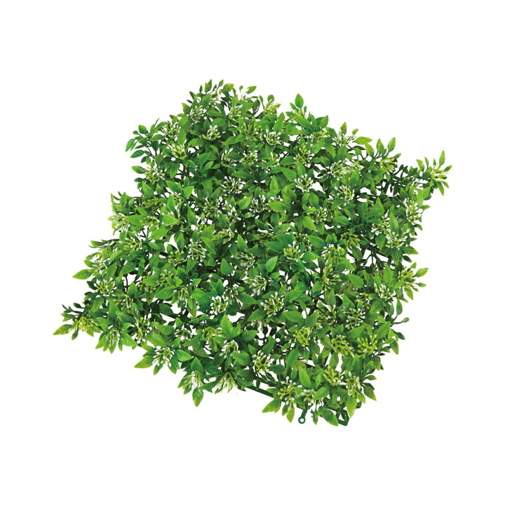 ボックスウッドマット