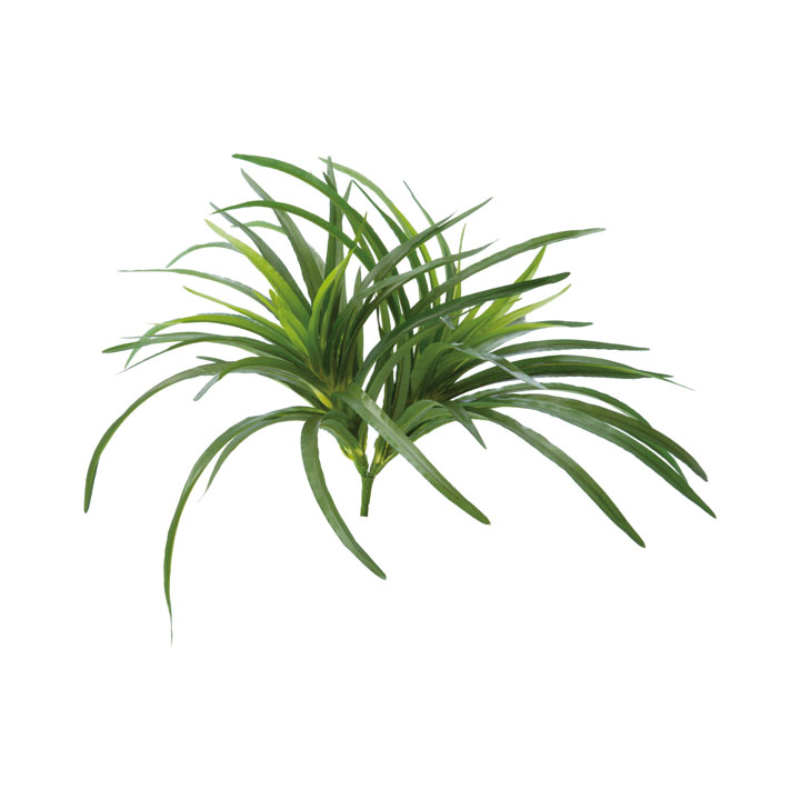 ヤブランブッシュ