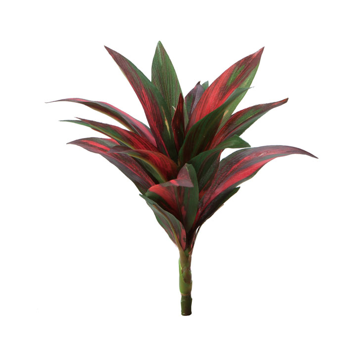 ミニコルジリネブッシュ