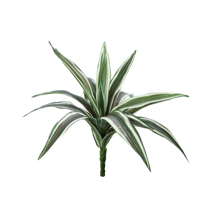 ミニワーネッキーブッシュ