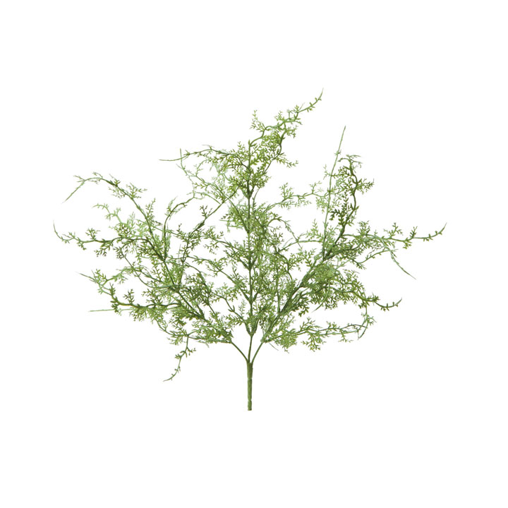 プラスチックシダーブッシュ