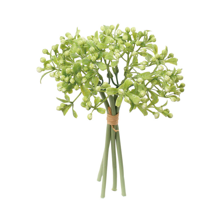 ワイルドベリーバンドル