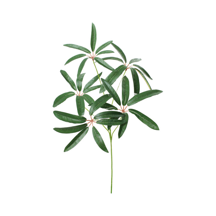 リサイクルシェフレラアンガススプレーM