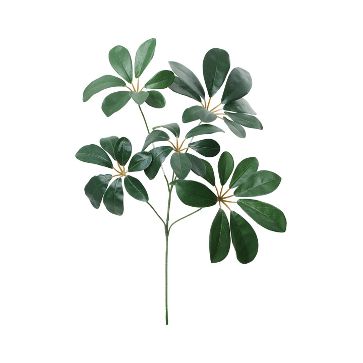 リサイクルシェフレラスプレーM