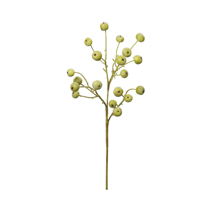 クラスターベリー