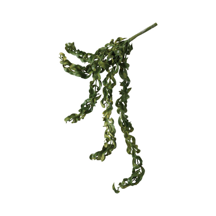 エスキナンサスハンガー