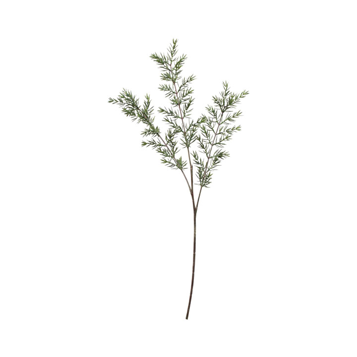 スモークローズマリースプレー