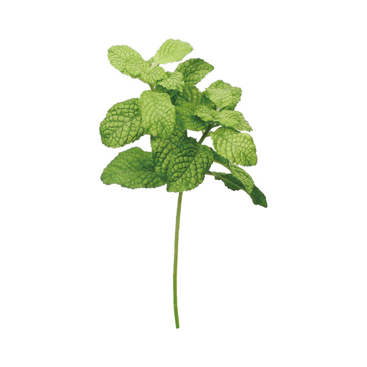 ミントショート