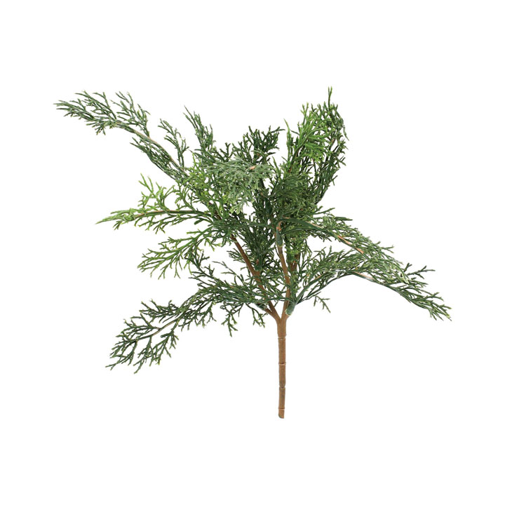 ゴールドクレストブッシュ