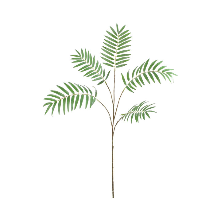 パームリーフスプレー