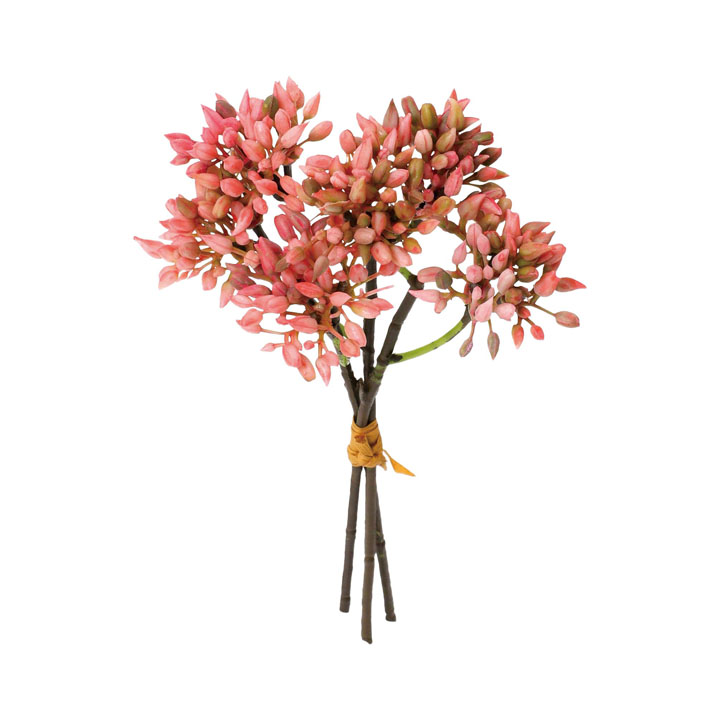 ベリーバンドル×3