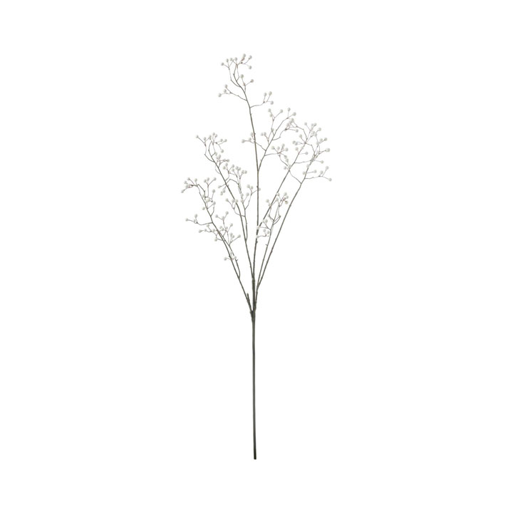 スモールベリーロングブランチ