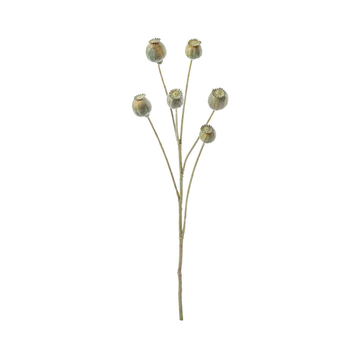 フロッキーポピーシードスプレー