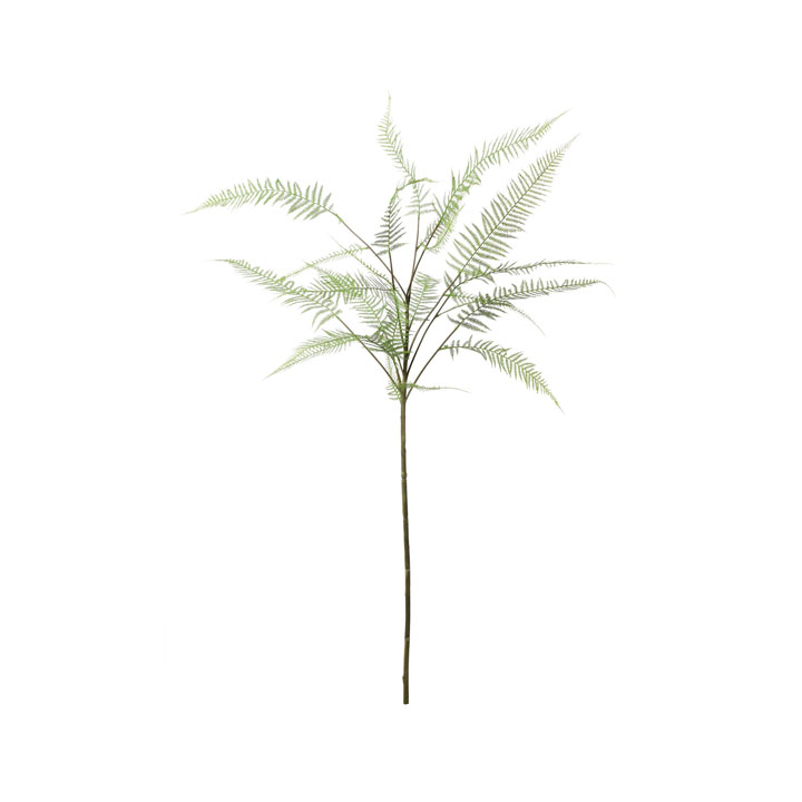 ファーンリーフブランチ