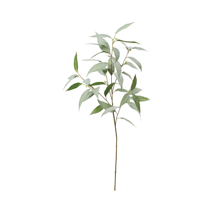 細葉ユーカリスプレー