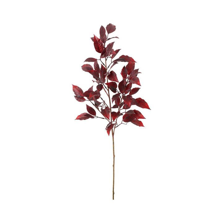 アカバセンニチコウスプレー