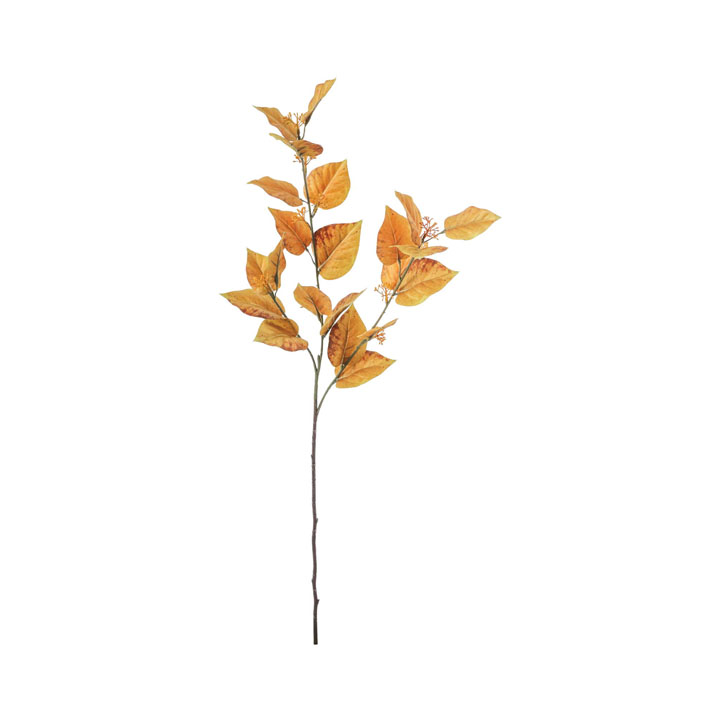 ケヤキリーフスプレー