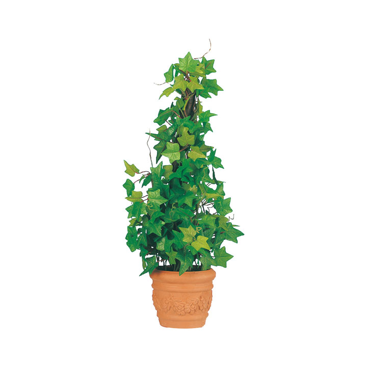 アイビーポット