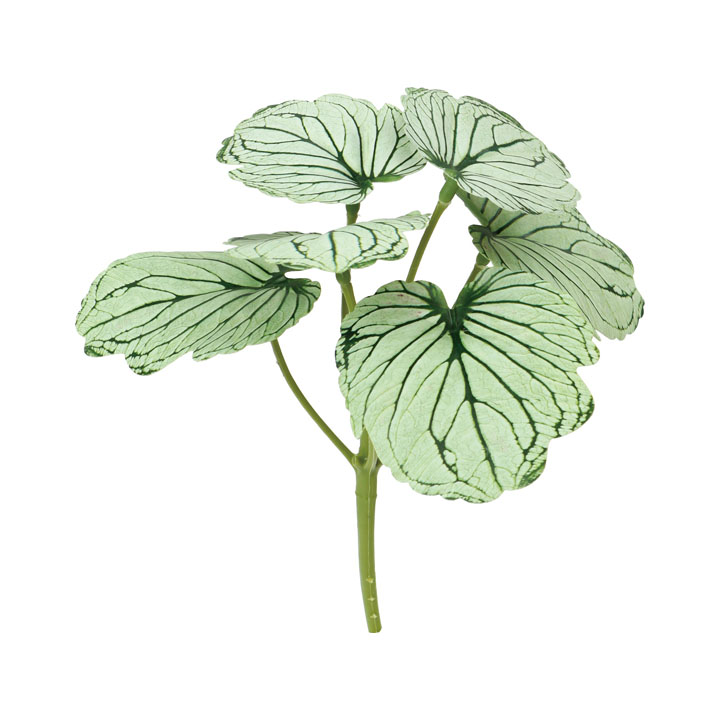 フレッシュタッチリーフミニブッシュ