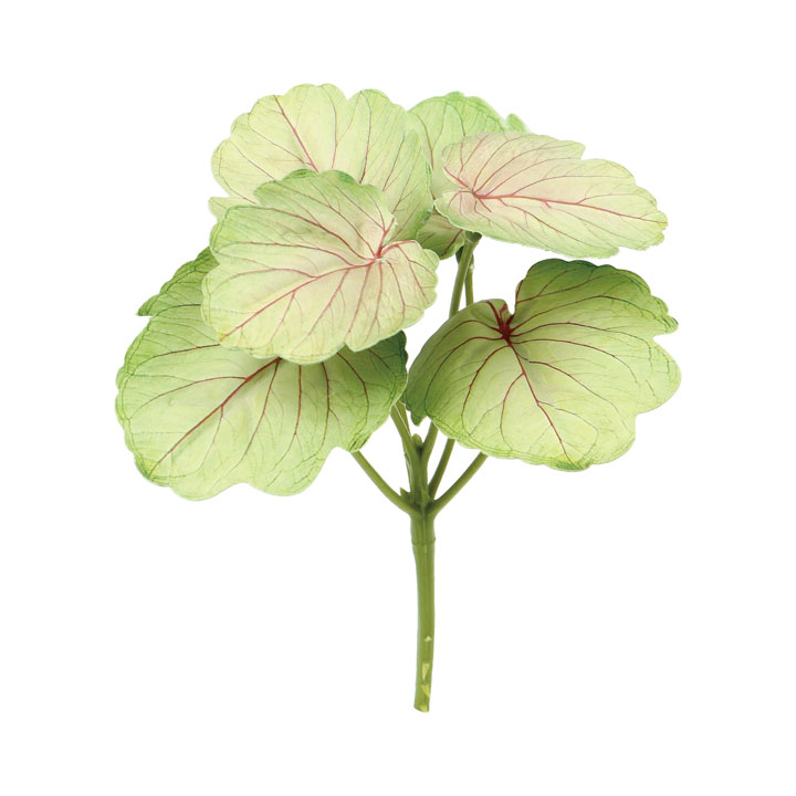 フレッシュタッチリーフミニブッシュ