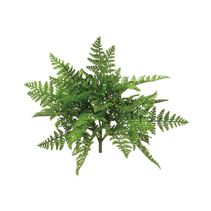 UVミニファーンブッシュ