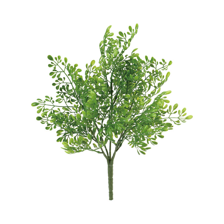 ヘンルーダブッシュ