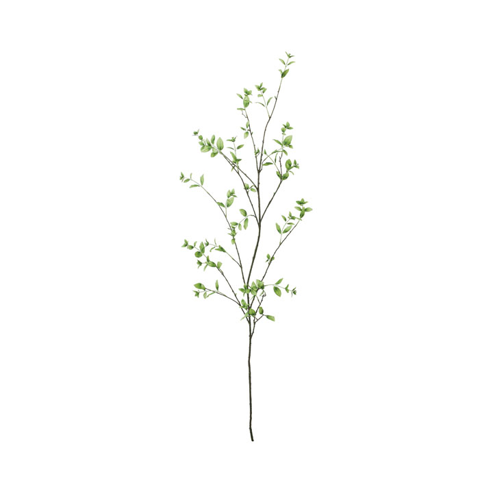 アップルリーフブランチ