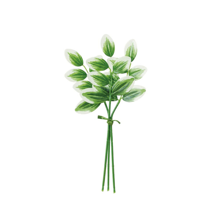 ナルコランピック3Pセット