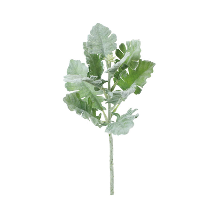 ダスティーミラー