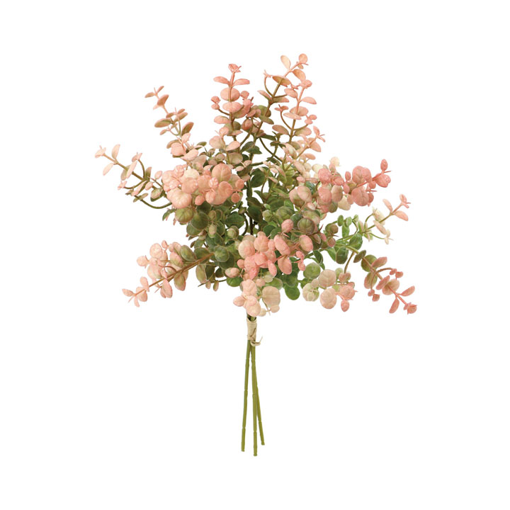 カラーユーカリバンチ