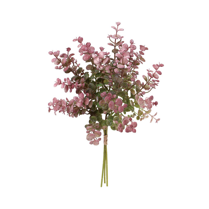 カラーユーカリバンチ